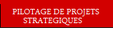 Pilotage de projetx complexes