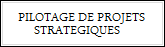 Pilotage de projetx complexes